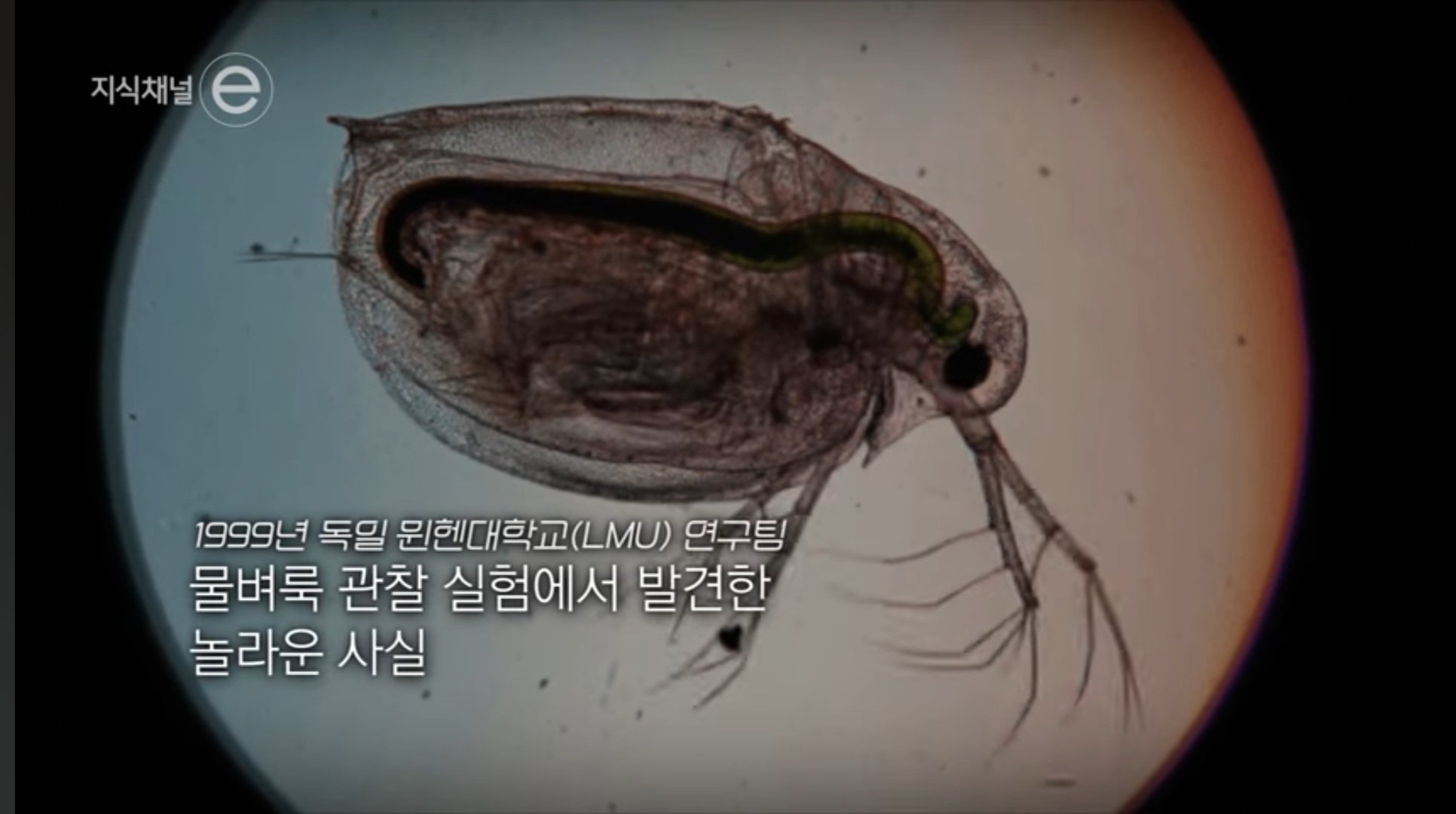 Screenshot_20250413_225315_YouTube.jpg