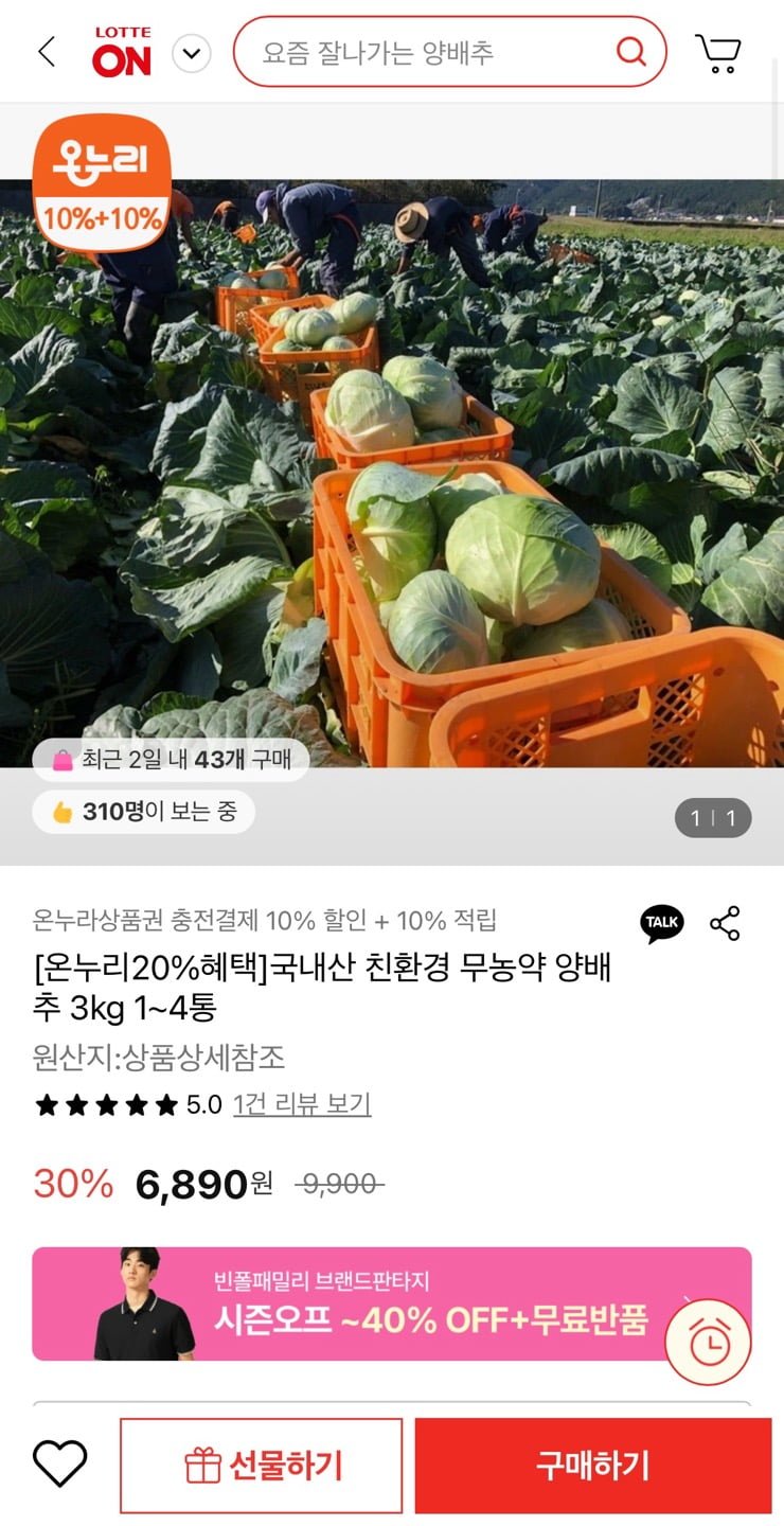 [롯데온] 무농약 양배추 3kg 1-4통 (6,890원/무료)1