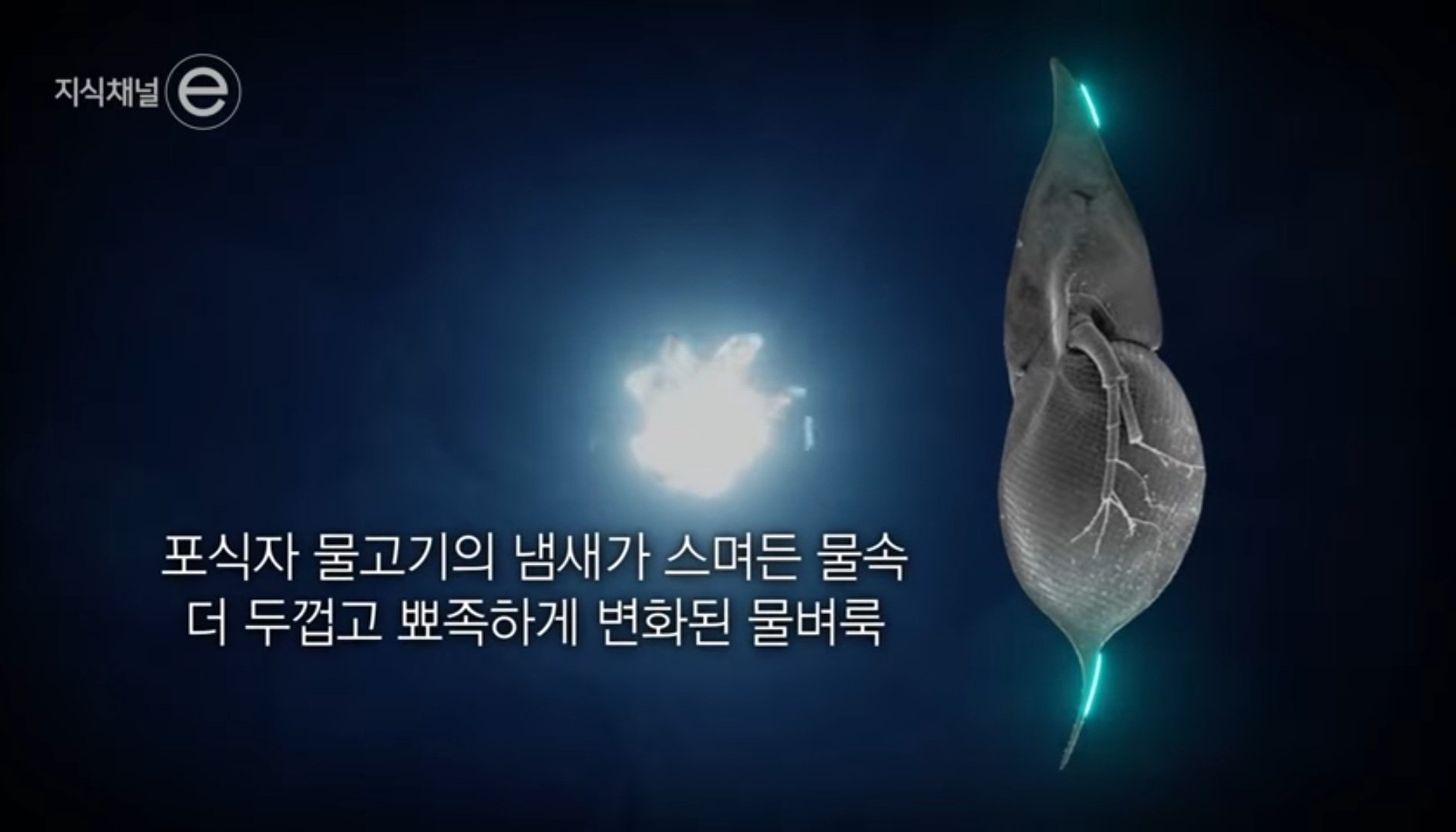 Screenshot_20250413_225327_YouTube.jpg