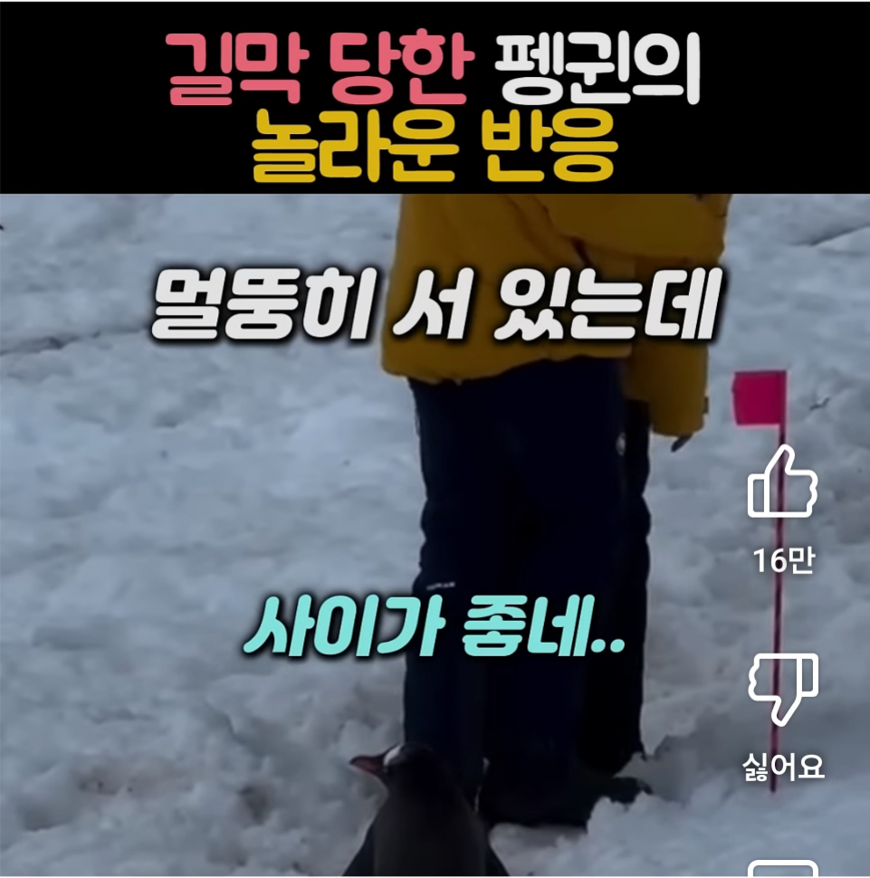 Screenshot_20250406_085723_YouTube.png
