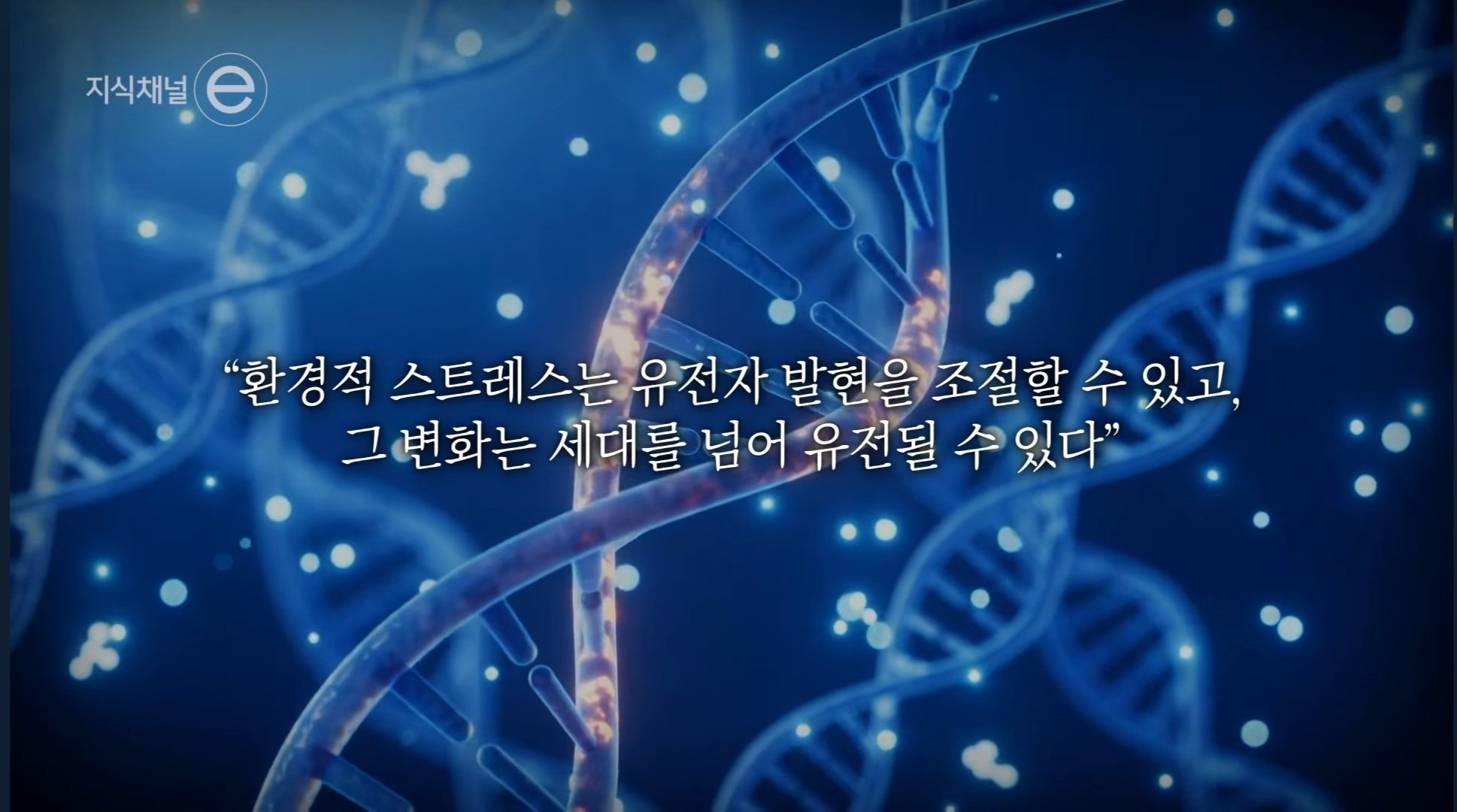 Screenshot_20250413_225645_YouTube.jpg