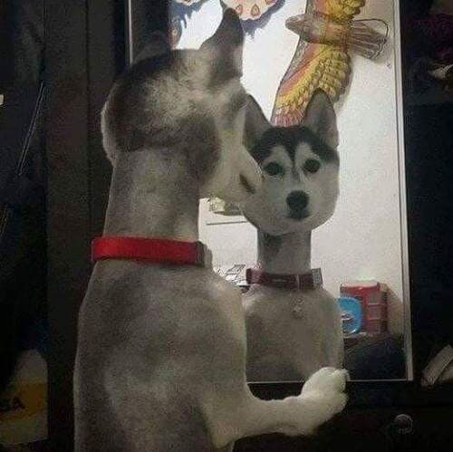 20.jpeg