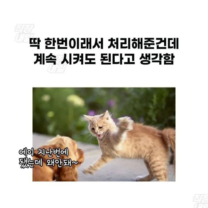 image (30).png