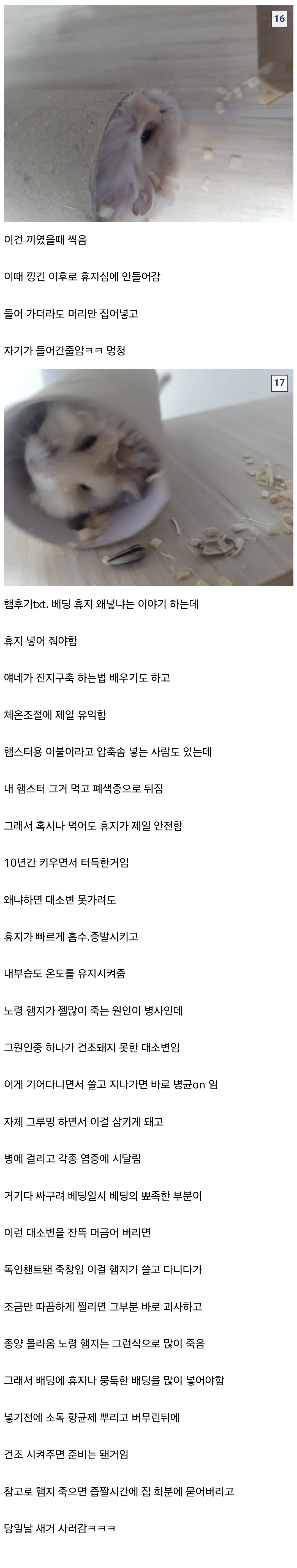 Screenshot_20250413_101051_Brave.jpg