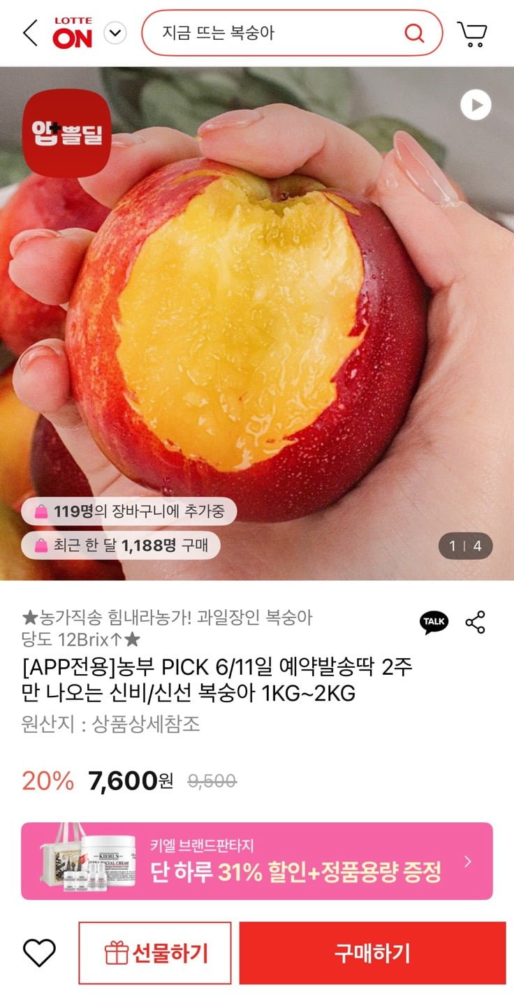 [롯데온] 옥황 신선복숭아 1kg (7-14과 내외) (7,600원/무료)3