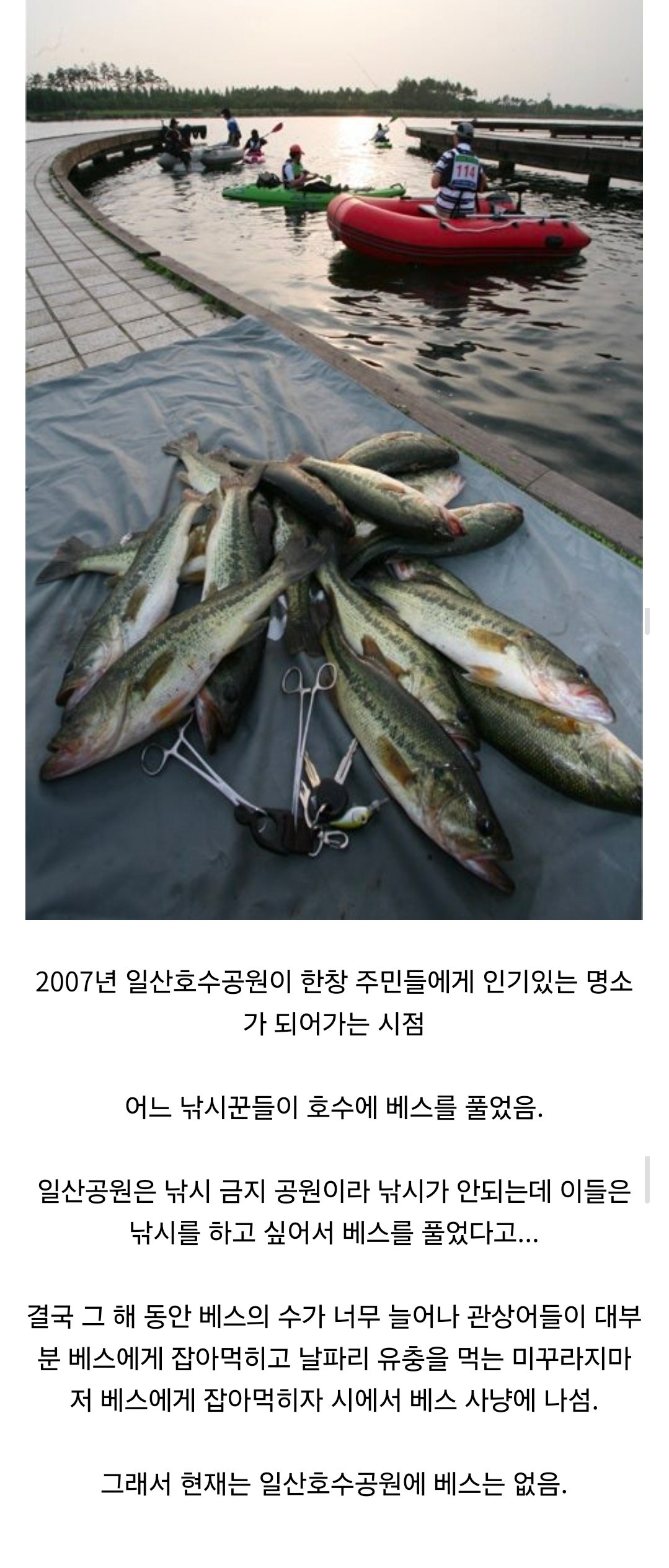Screenshot_20250505_133603_Samsung Internet.jpg