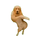 193-626745762-0-0-emoticon-626746069