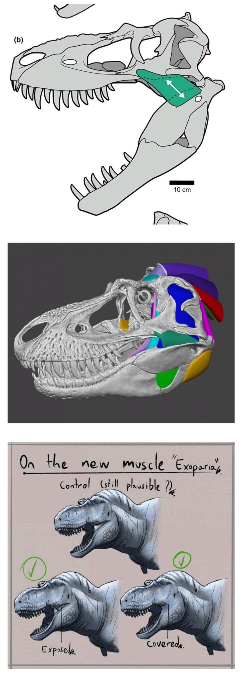 VFfONR.jpg