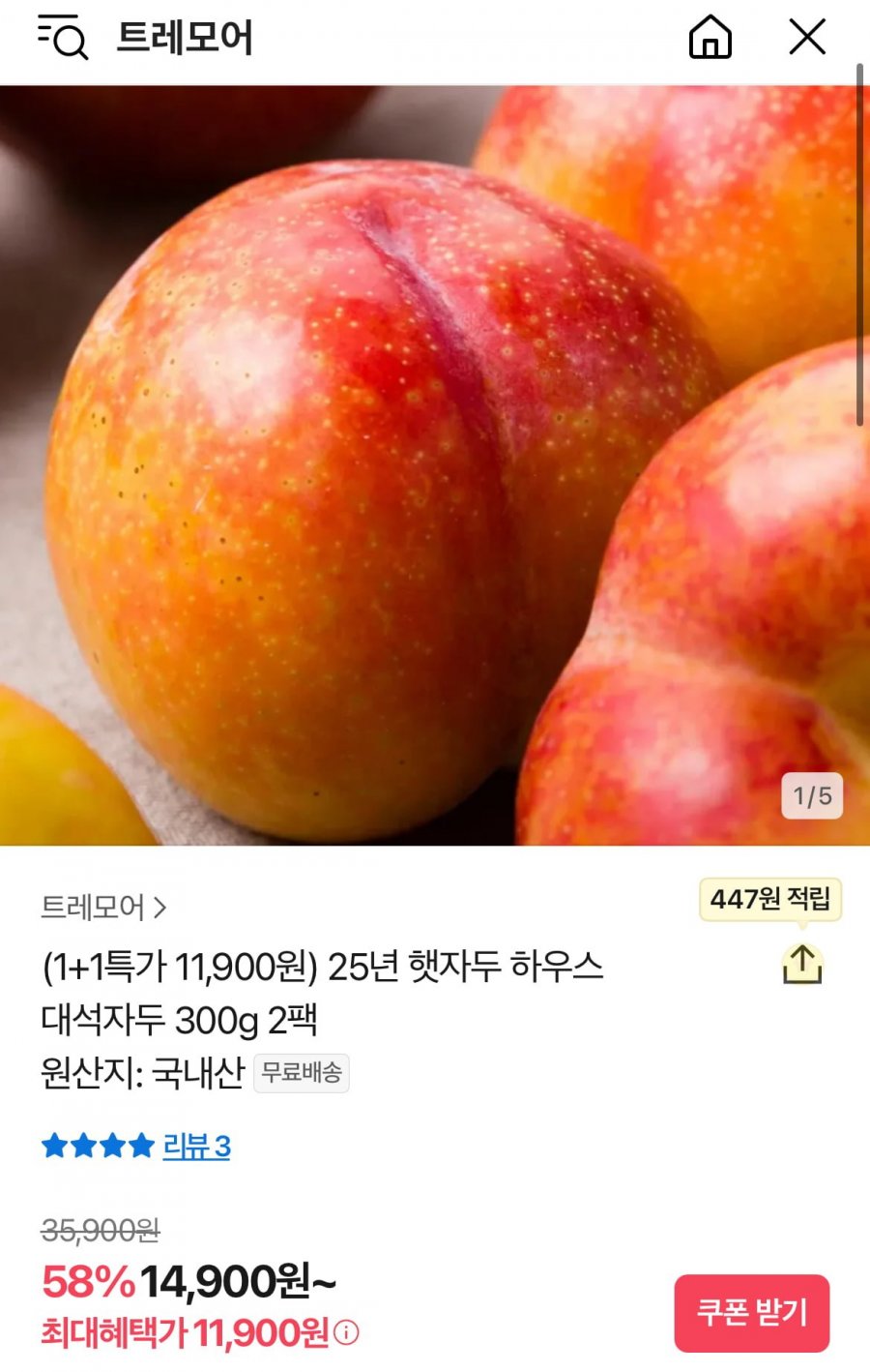 [톡딜] 25년 하우스 대석자두 300g 2팩 (11,900원/무료)1