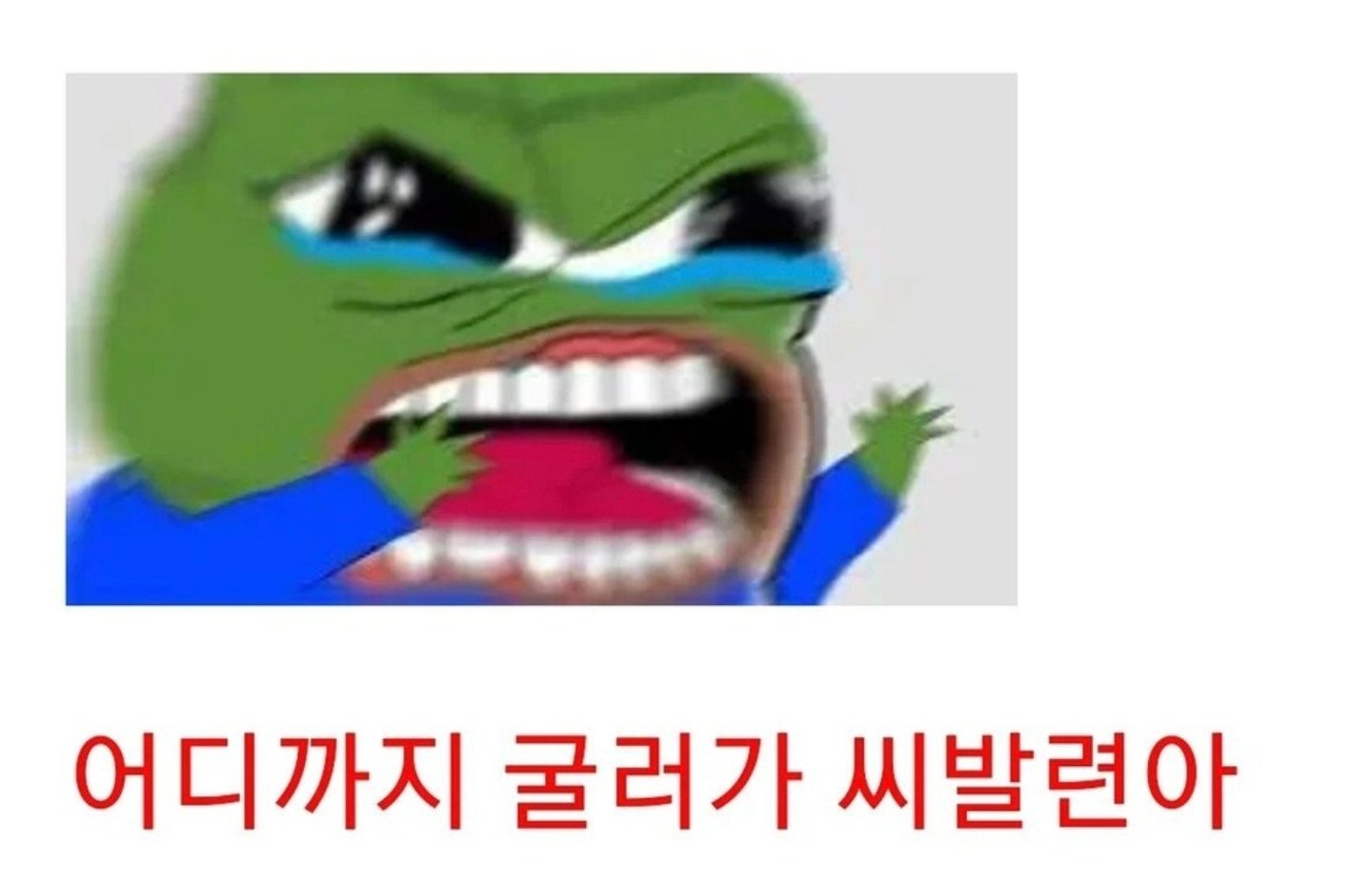 Screenshot_20250401_135531_Chrome.jpg