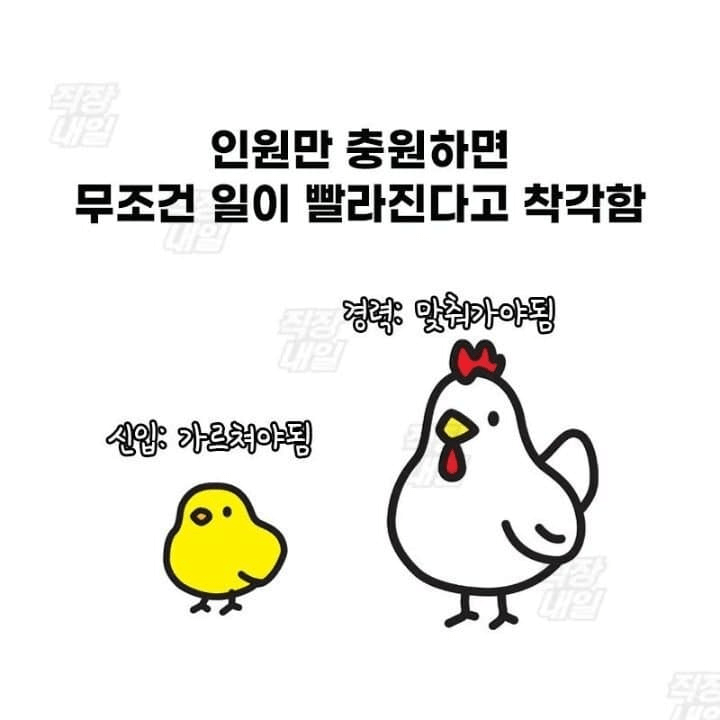 image (28).png