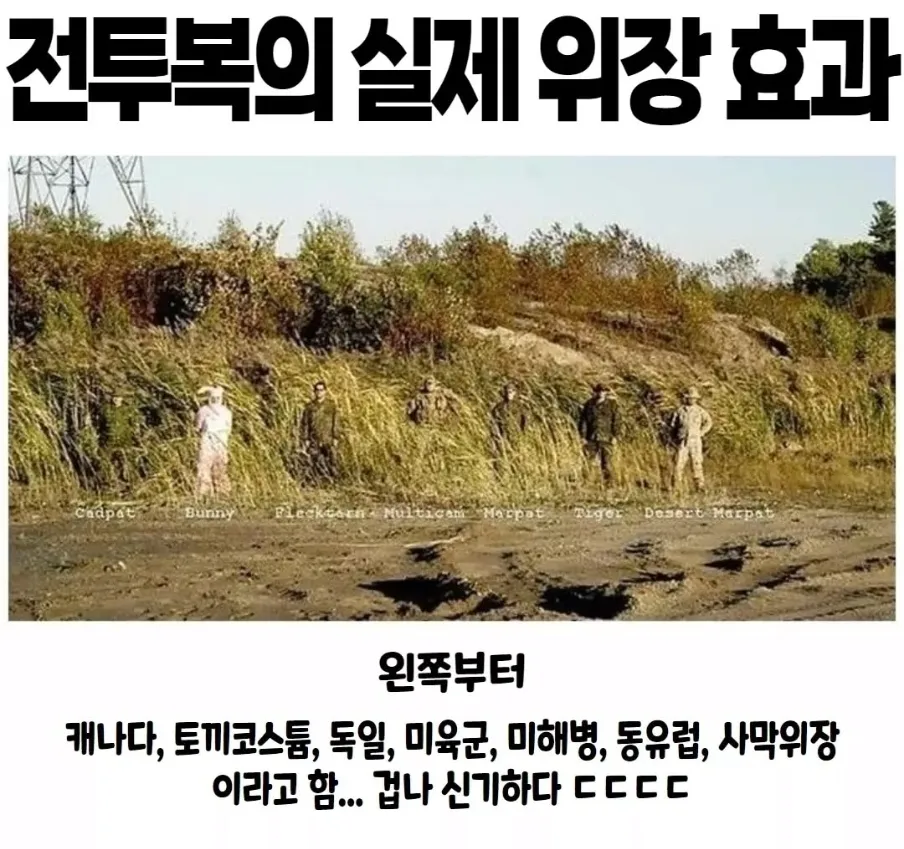전투복의 위장효과