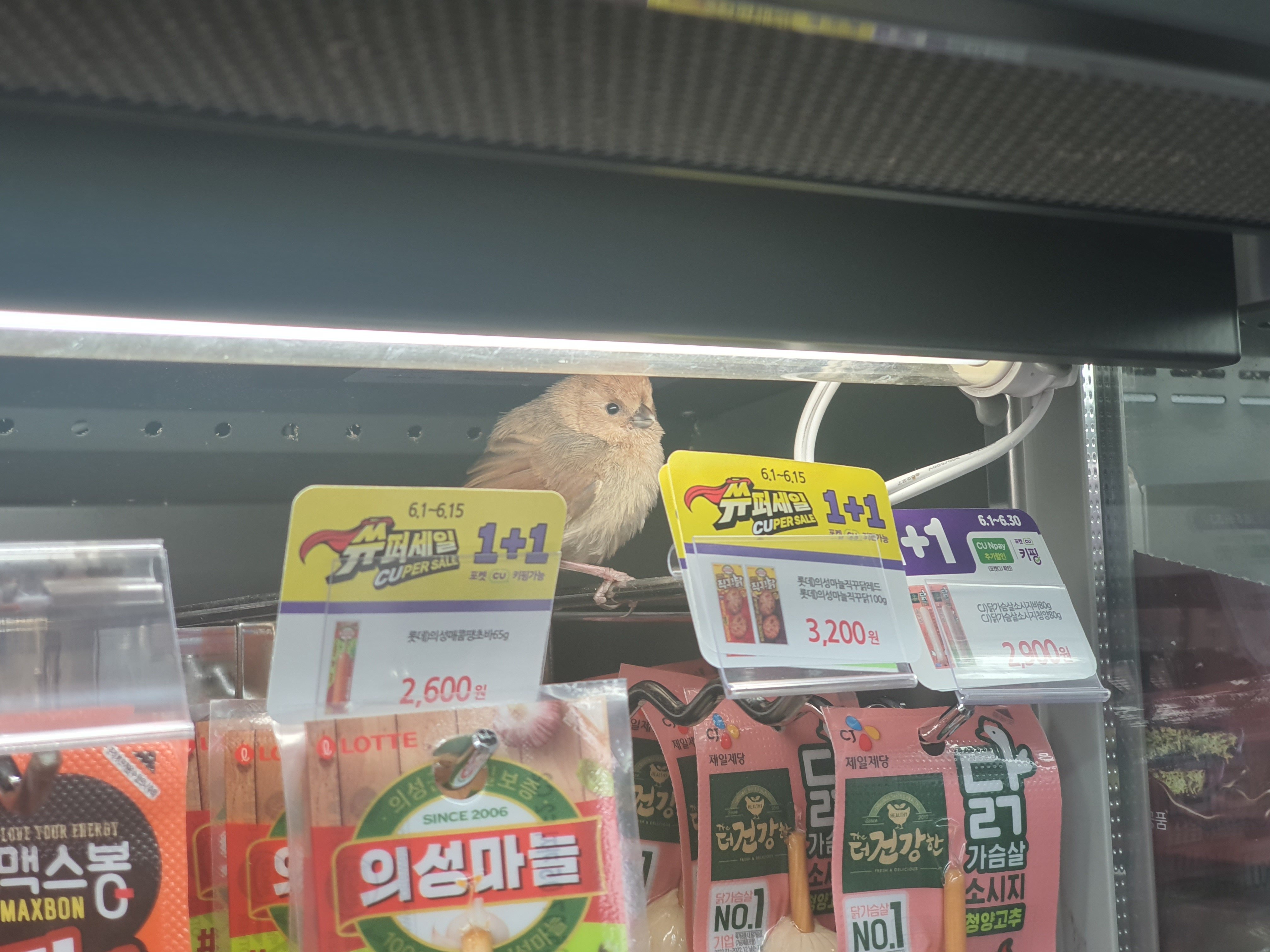 KakaoTalk_20250608_181026884.jpg