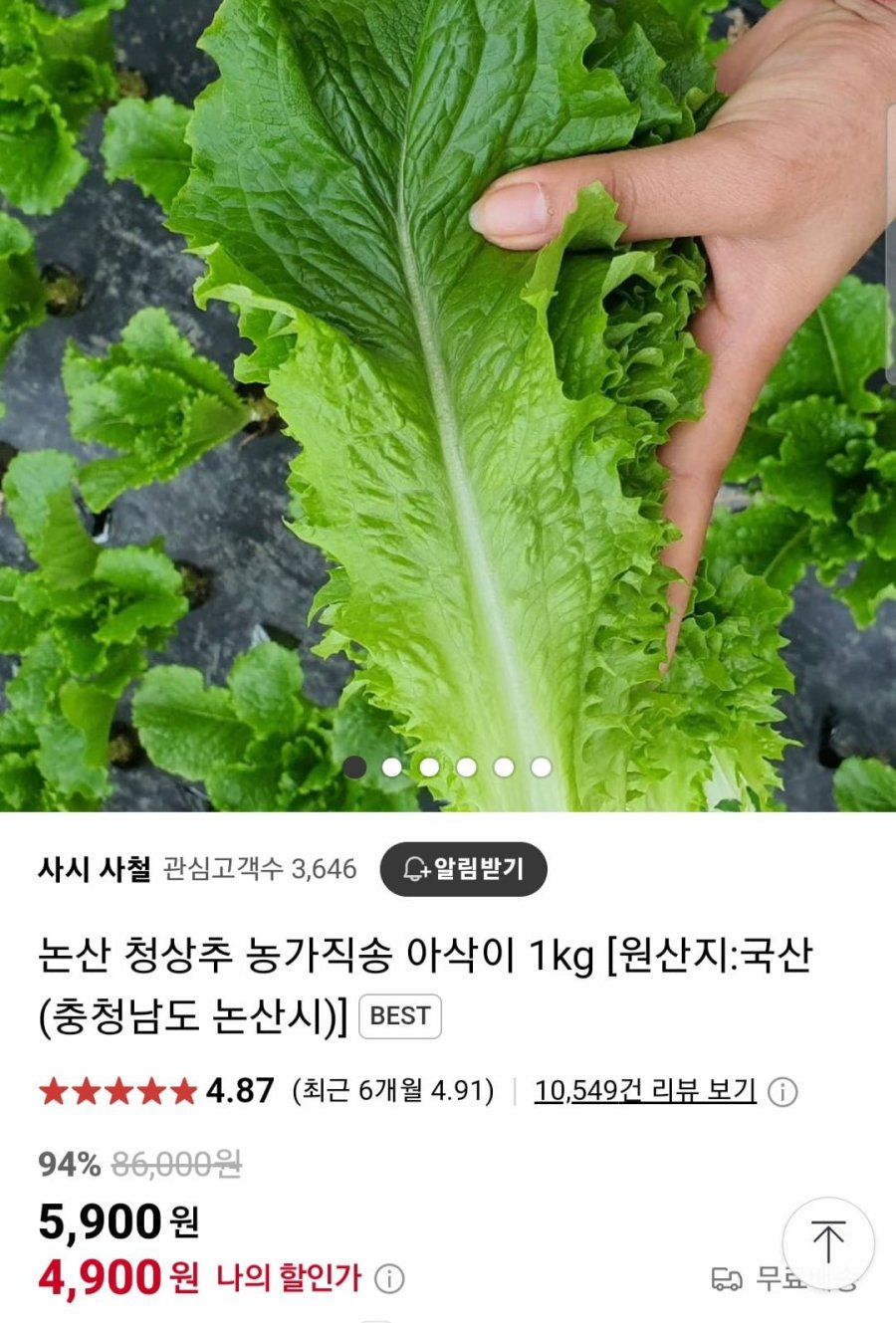[네이버] 논산 청상추 1kg (5,900원 / 무료)5