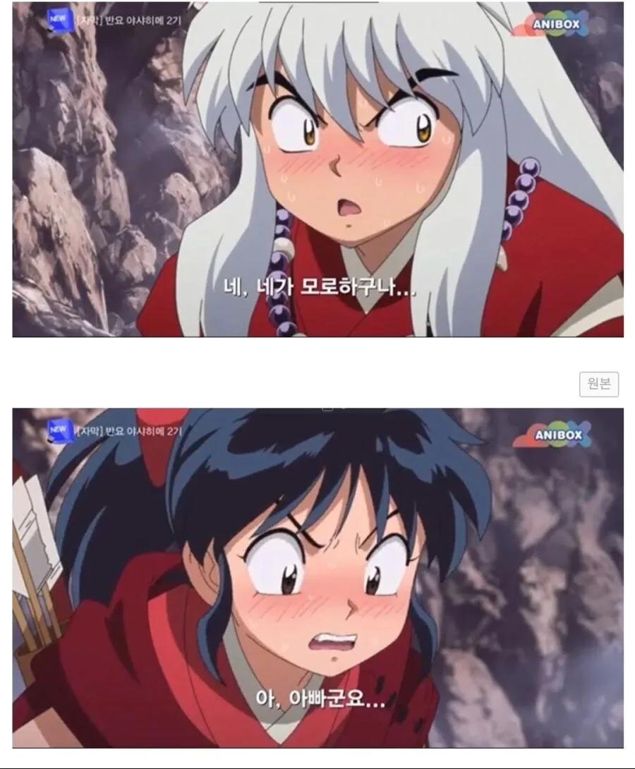 196013e9a2e1e1cd1.webp