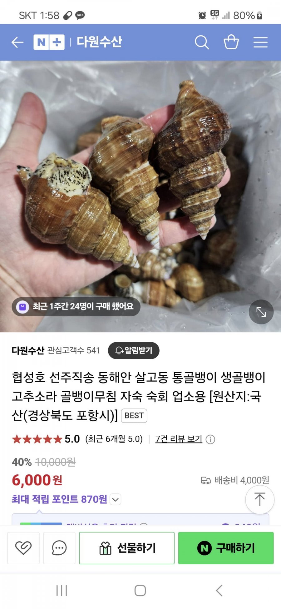 [네이버] 협성호 선주직송 동해안 살고동 통골뱅이 생골뱅이 고추소라 골뱅이무침 자숙 숙회 업소용 (6,000원/4,000원)