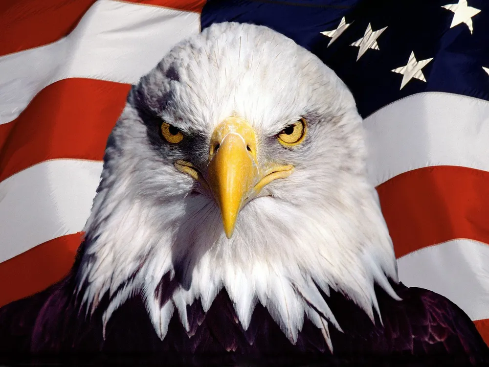 O5Ec5mI7uT8tEFNC5Vod1XdYY34IDUgrZfAaOx0FF8eVHyrBsix2xk0CbXkKsRqZZBpu-Y5rq79G_gcly1DGWA.webp