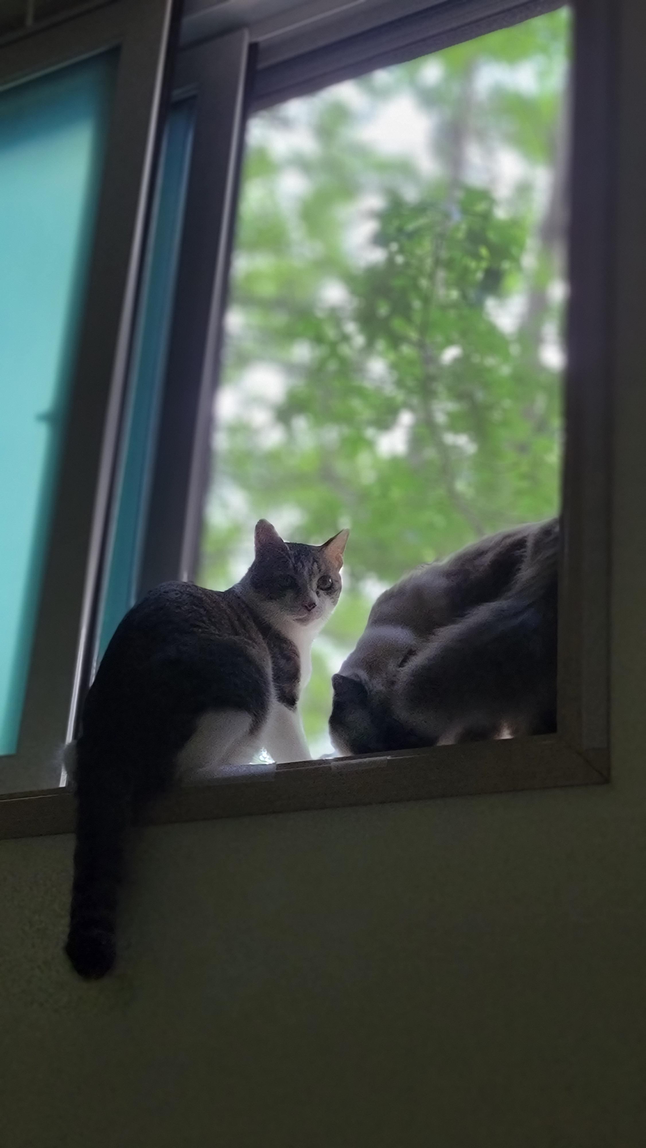 20230812_174330.jpg