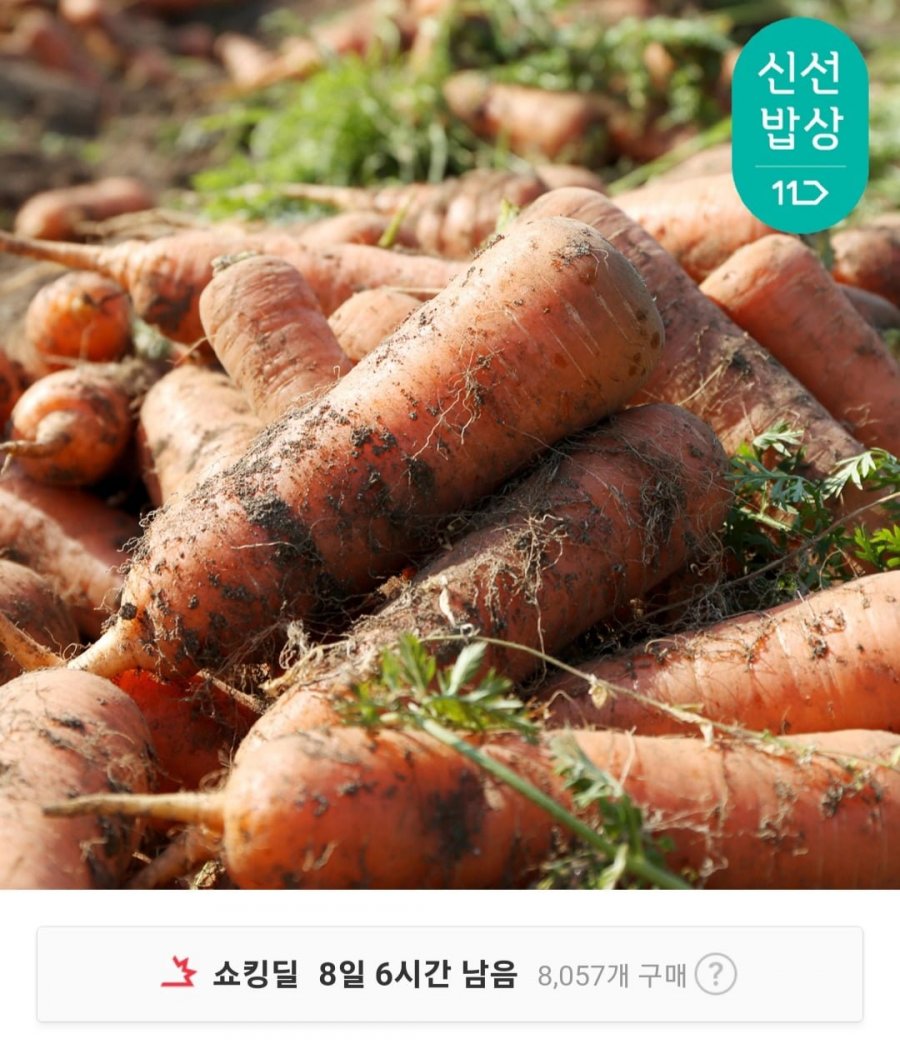 [11번가] 제주 햇 흙당근 3kg (7,880원 / 무료배송)