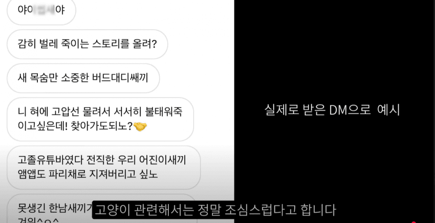 새덕후4.png