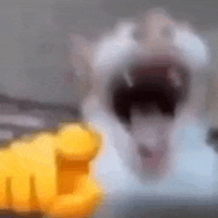113-624502736-0-2-emoticon-624506246