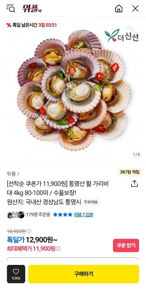 [톡딜]통영산 활 가리비 대 4kg 80-100미 (11,900원/무료)2