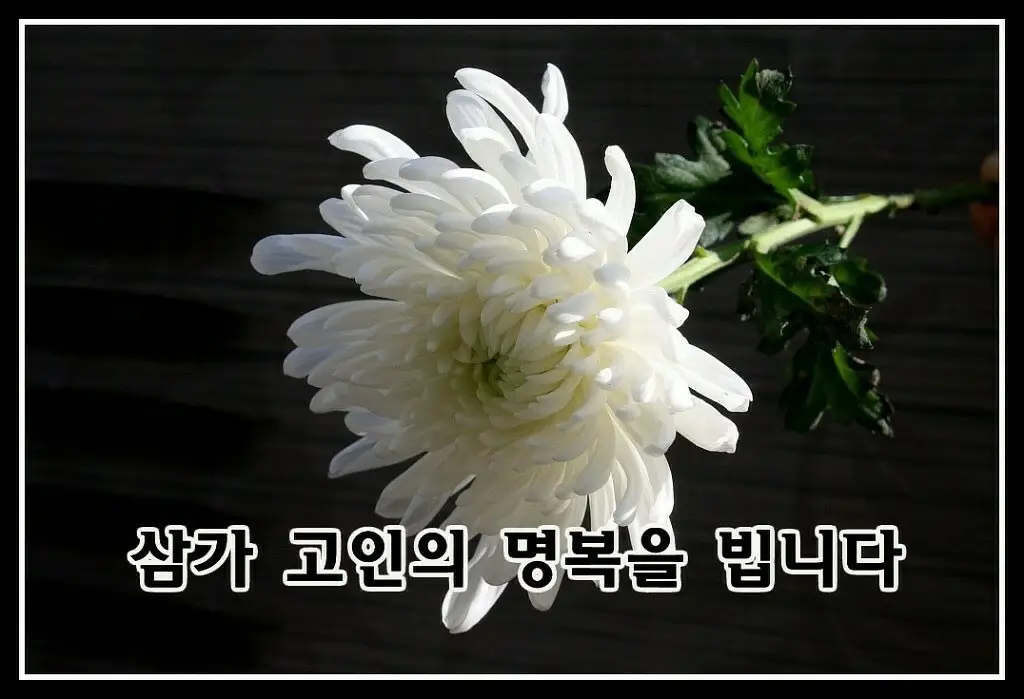 삼가 고인의 명복을 빕니다.