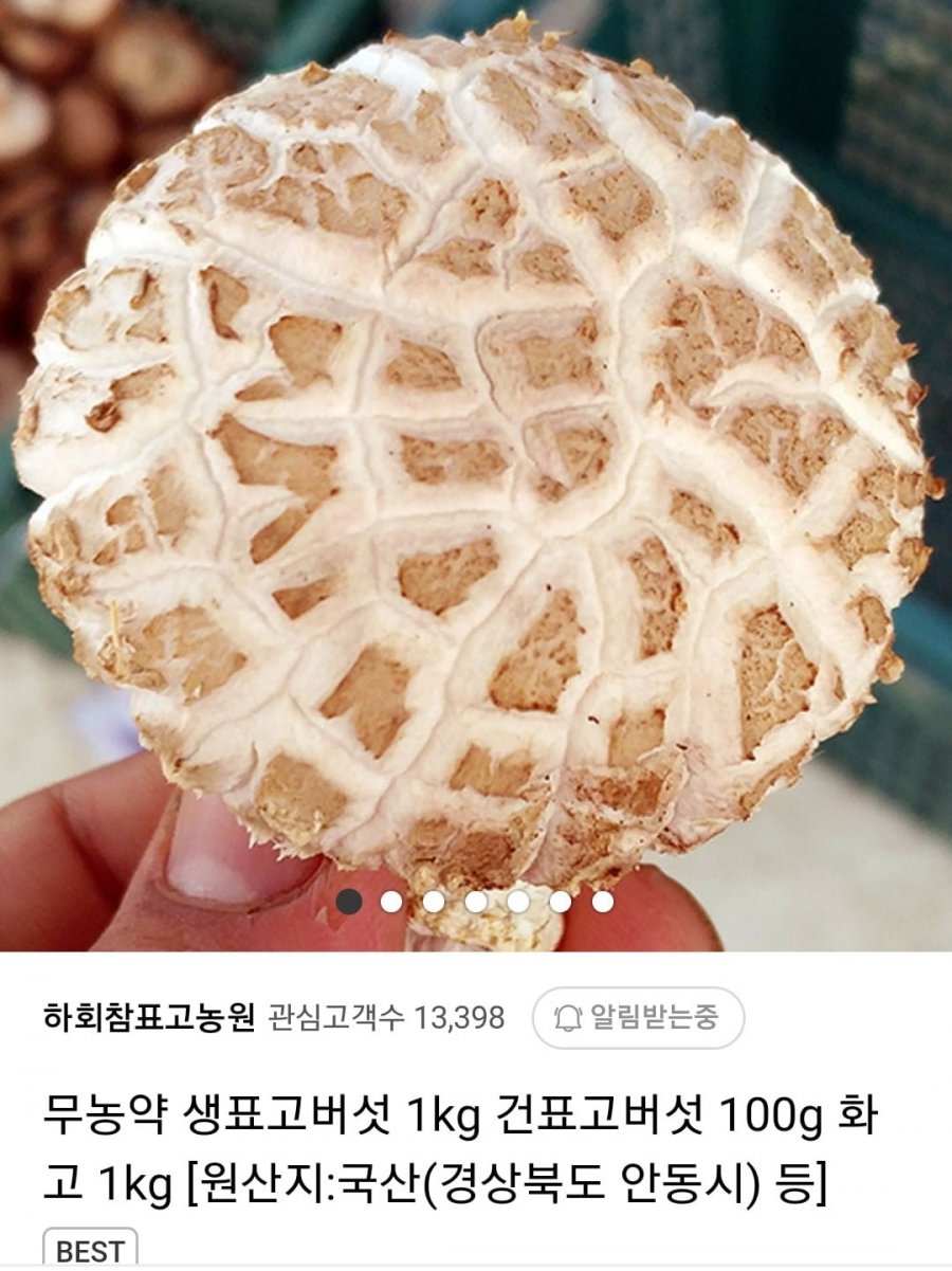 [네이버]무농약 생표고버섯 파지 1kg (6,790원/무료)