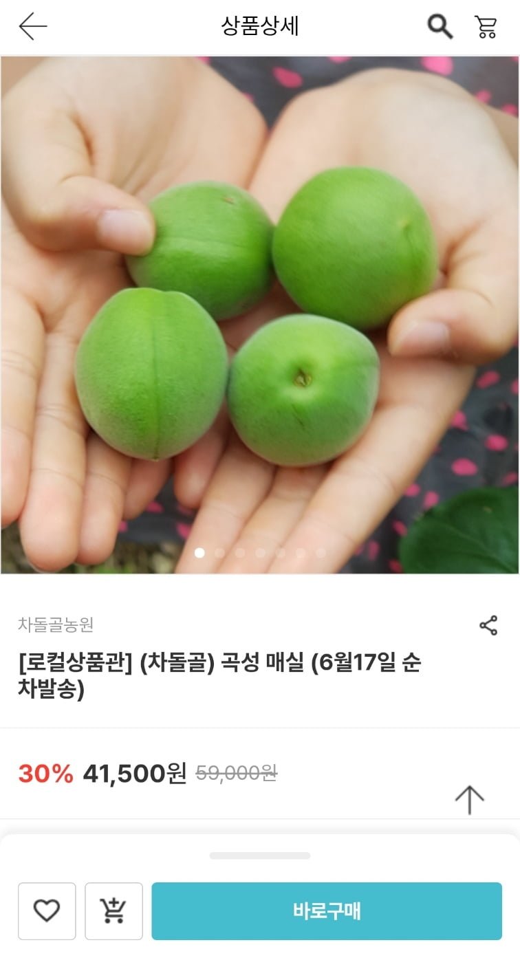 [남도장터] 곡성 매실 특대~왕왕 10kg (24,900원~/무료)6