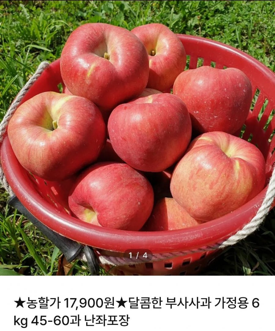 [ns몰] 부사사과 6kg 난좌포장(17,900원/무료)2