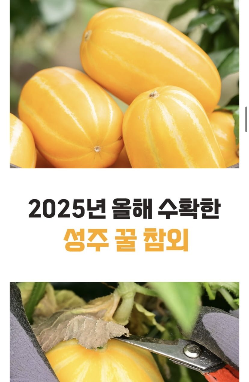 20250416094111_a9TFSDXzUW.jpeg