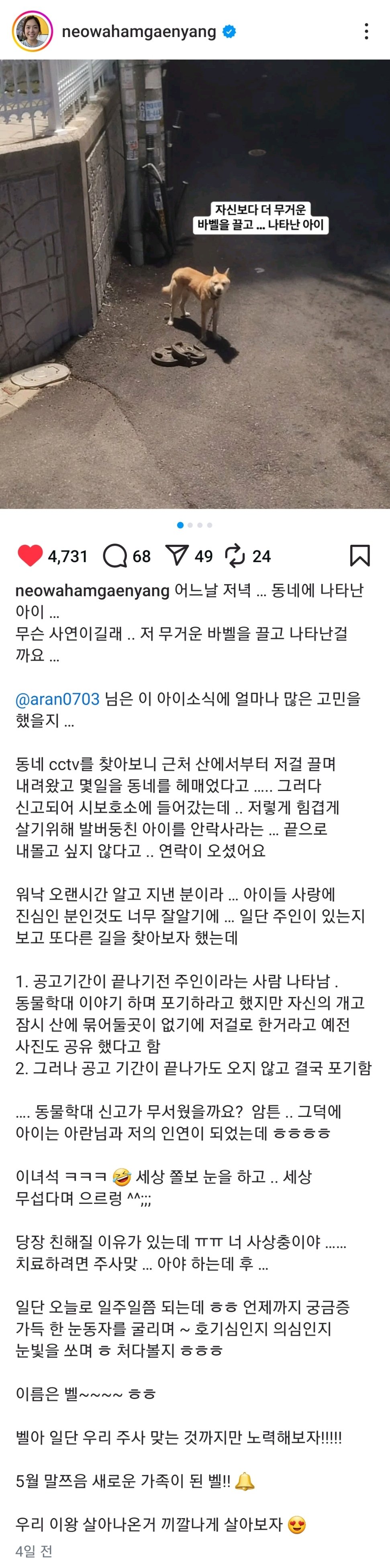 Screenshot_20250606-211241_Instagram.jpg