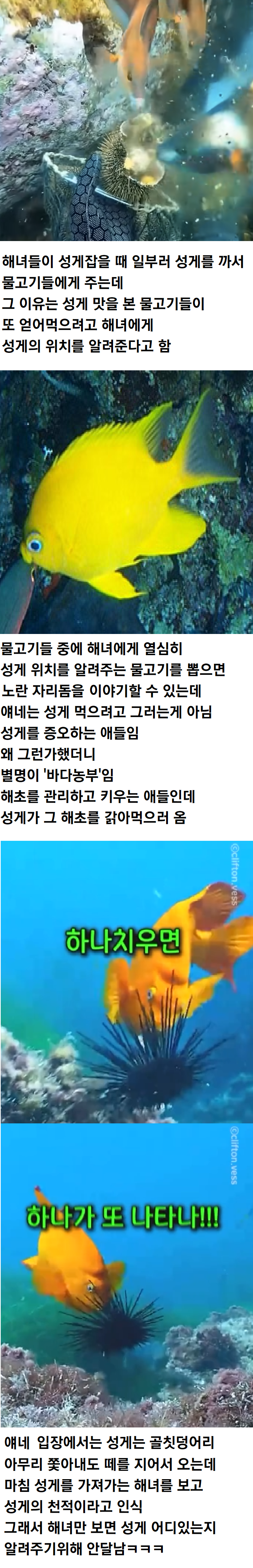 IMG_6450.png