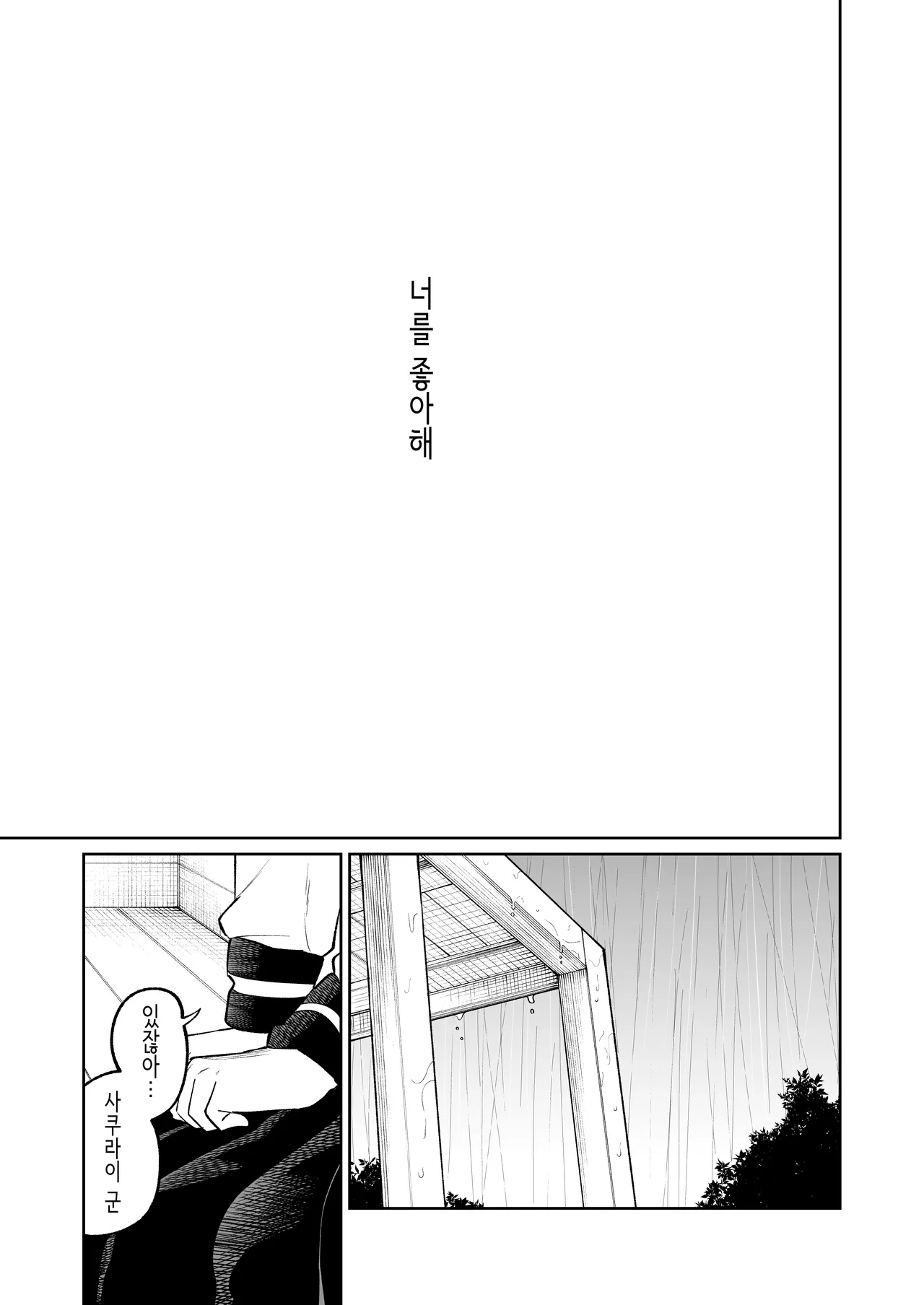 31.webp