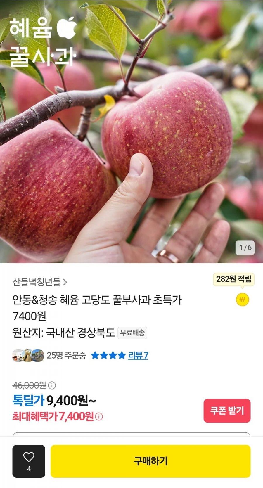 [톡딜] 안동&청송 혜윰 고당도 꿀부사과 (7,400원~/무료)1