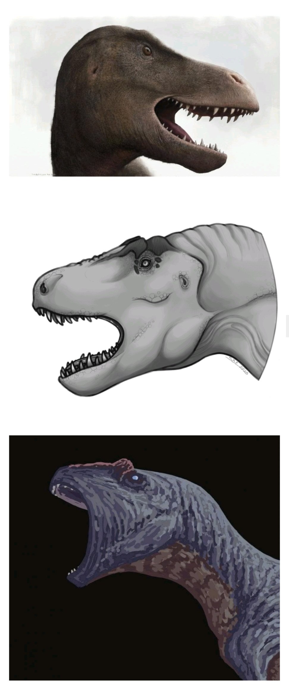 UBKbmr.jpg
