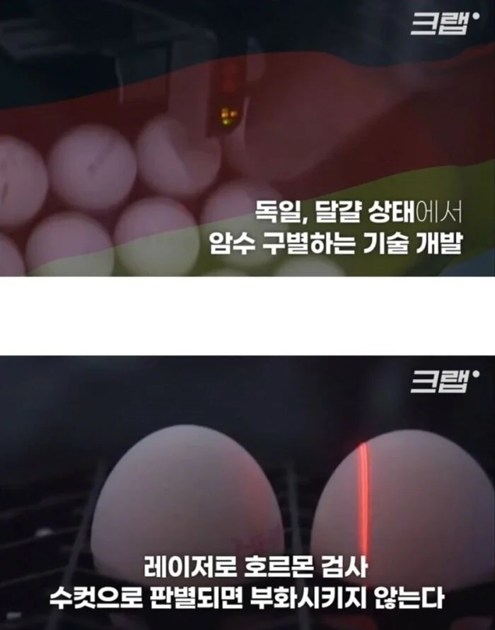 2.webp