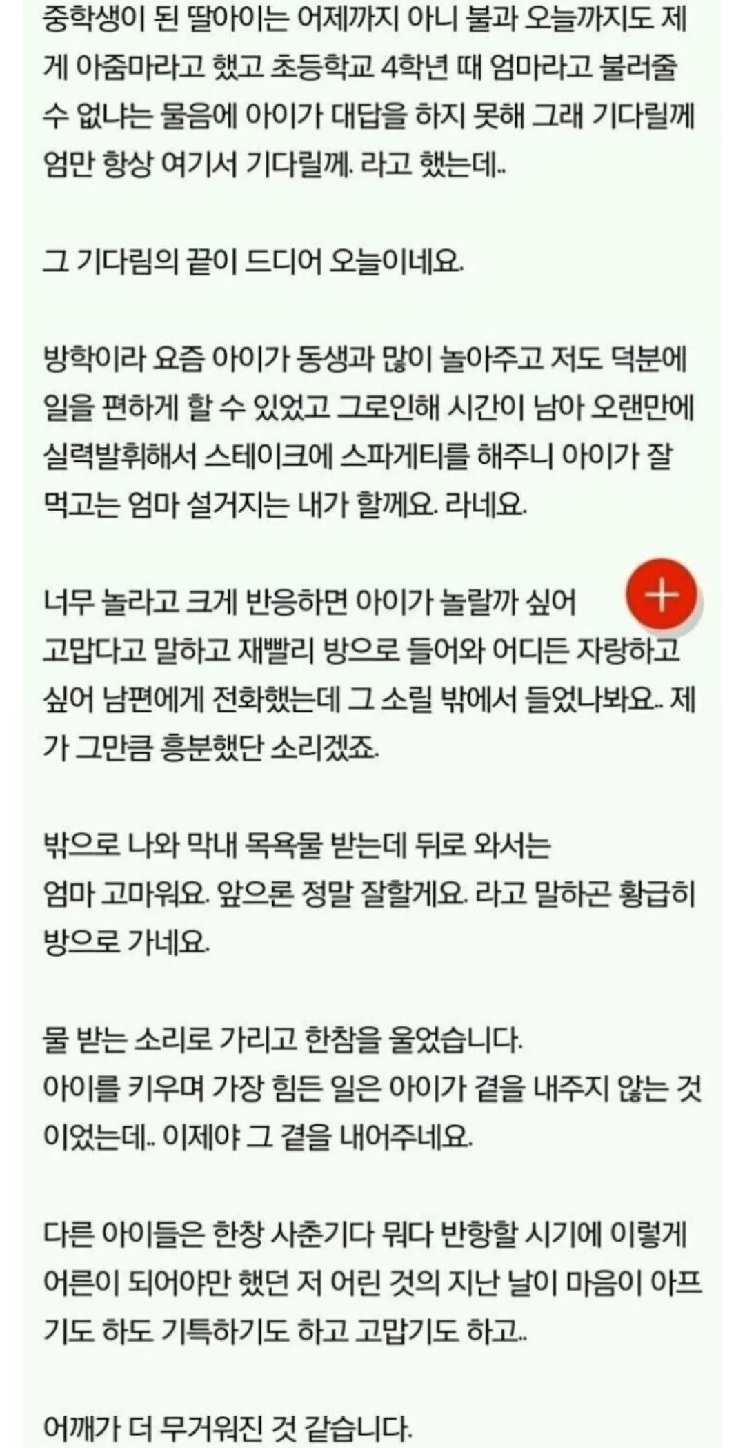 48be858f6db1eaa94ad16a6fd2859ff4.webp.ren.jpg 결혼하고 2년 동안 초등생 딸이 있다는 걸 숨겨왔던 남편.jpg