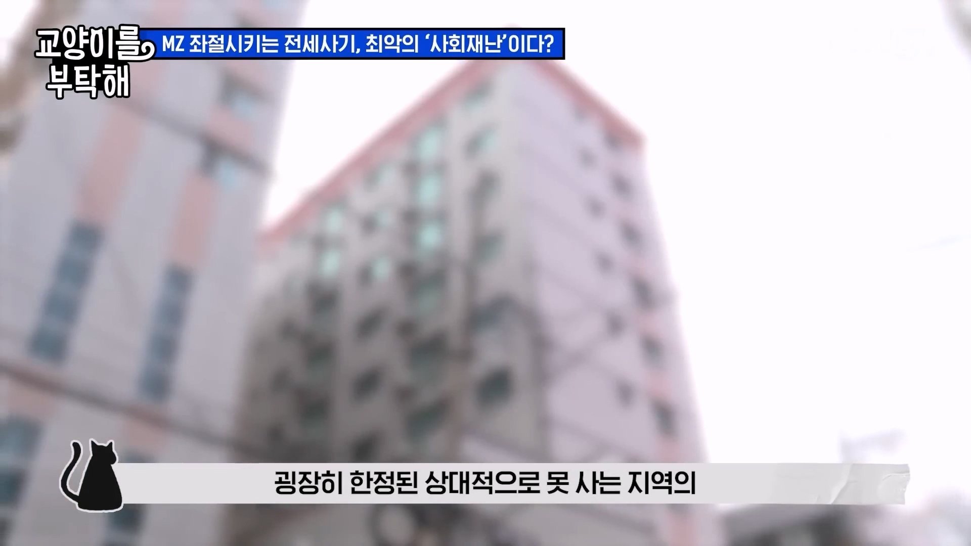 공인중개사까지.이건 말이 안 돼요 전세사기가 절대 없어지지 않는 이유 SBS 모아보는 뉴스 교양이를 부탁해.mp4_20240310_174752.037.jpg