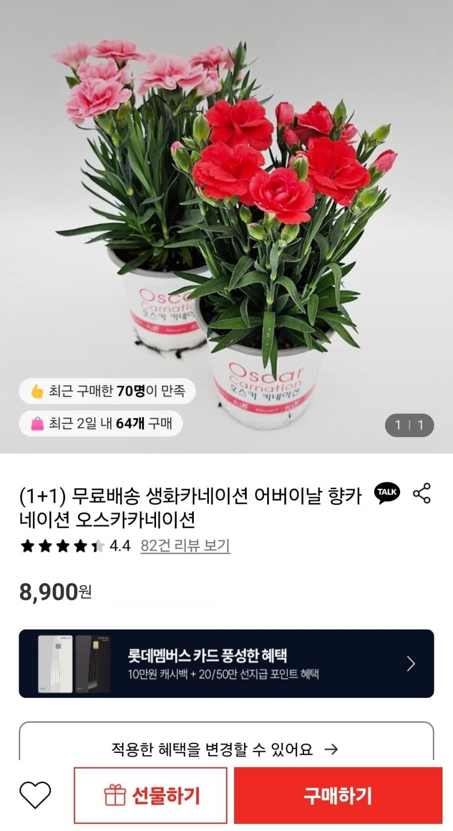 [롯데온] 생화카네이션 1+1 (8,900원/무료)13