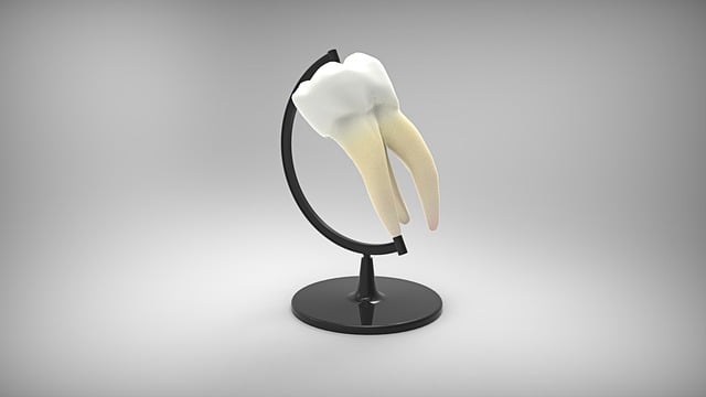 globus-2876182_640.jpg