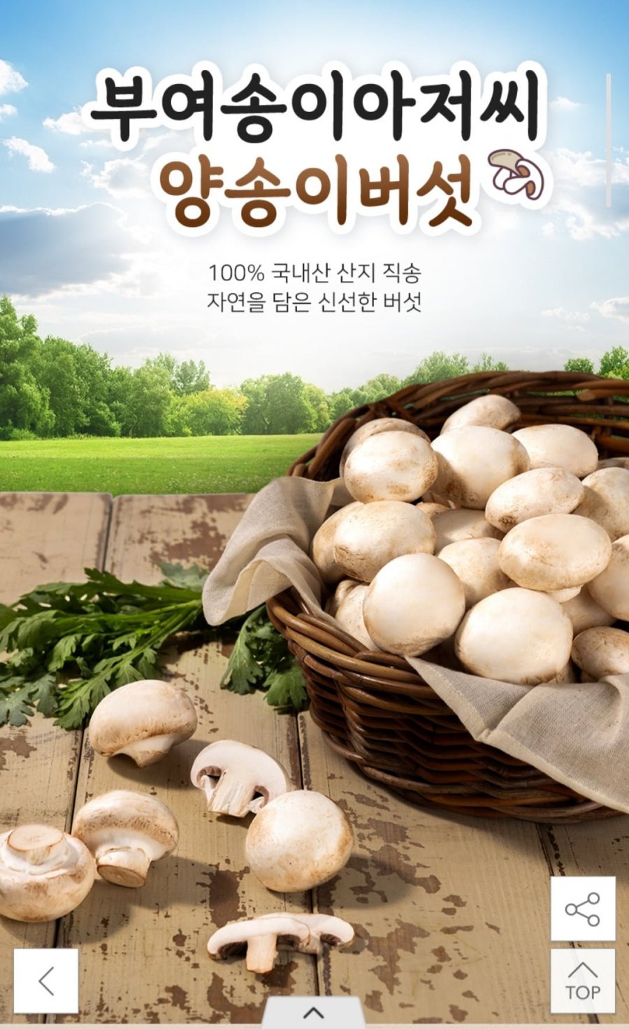 [옥션] 못난이 양송이버섯 2kg (12,950원/무료)3