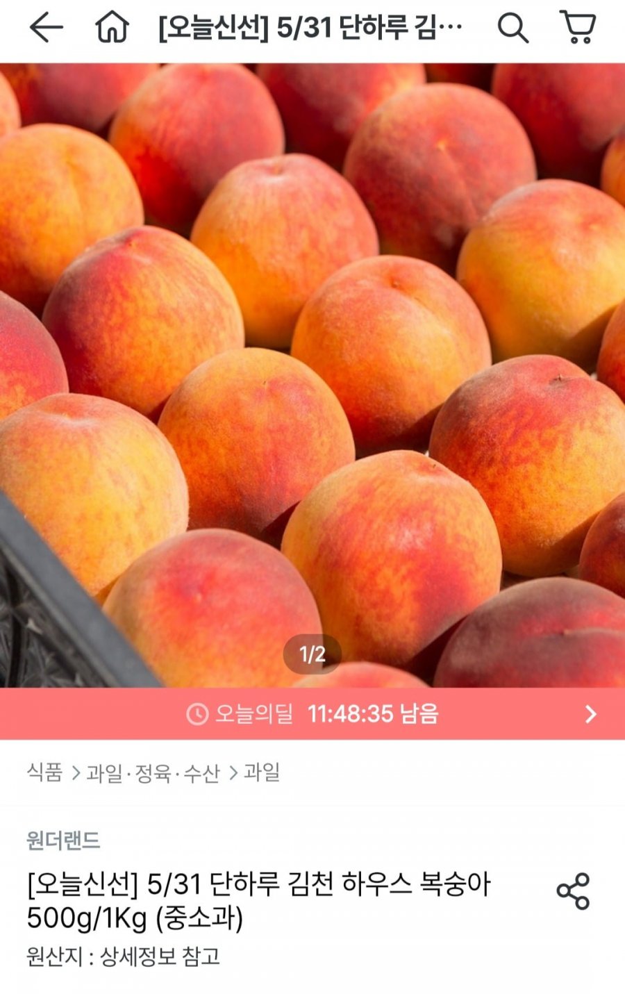 [오늘의집] 김천 하우스 복숭아 500g (12,333원/무료)1
