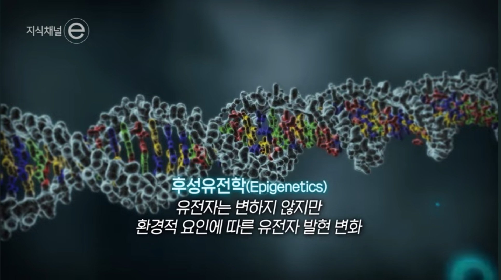 Screenshot_20250413_225557_YouTube.jpg