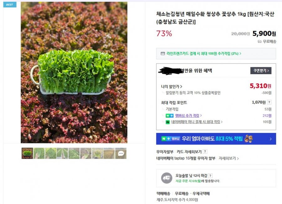 [네이버] 청상추/적상추 1kg (5,310원/무배)2
