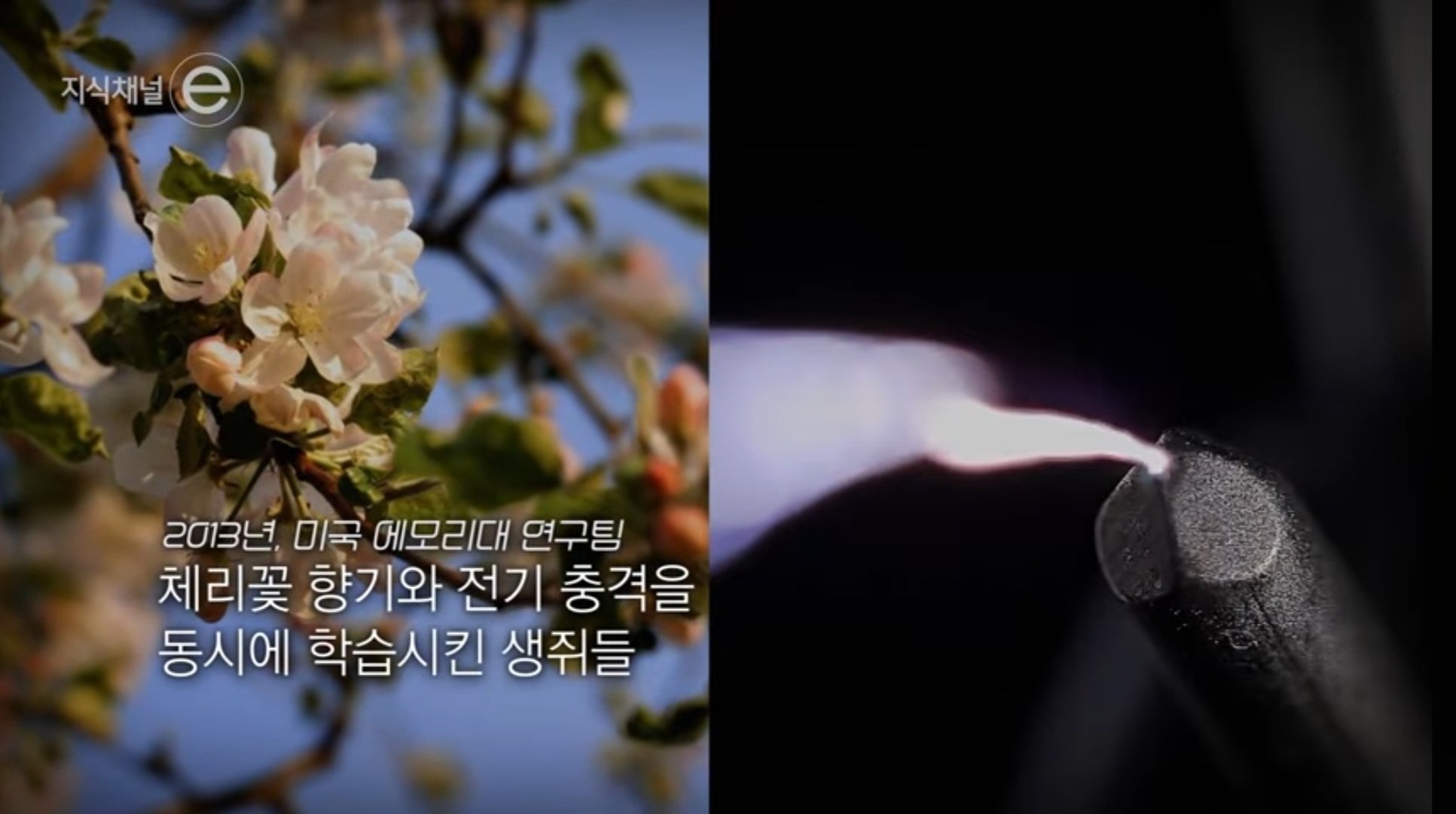 Screenshot_20250413_225620_YouTube.jpg