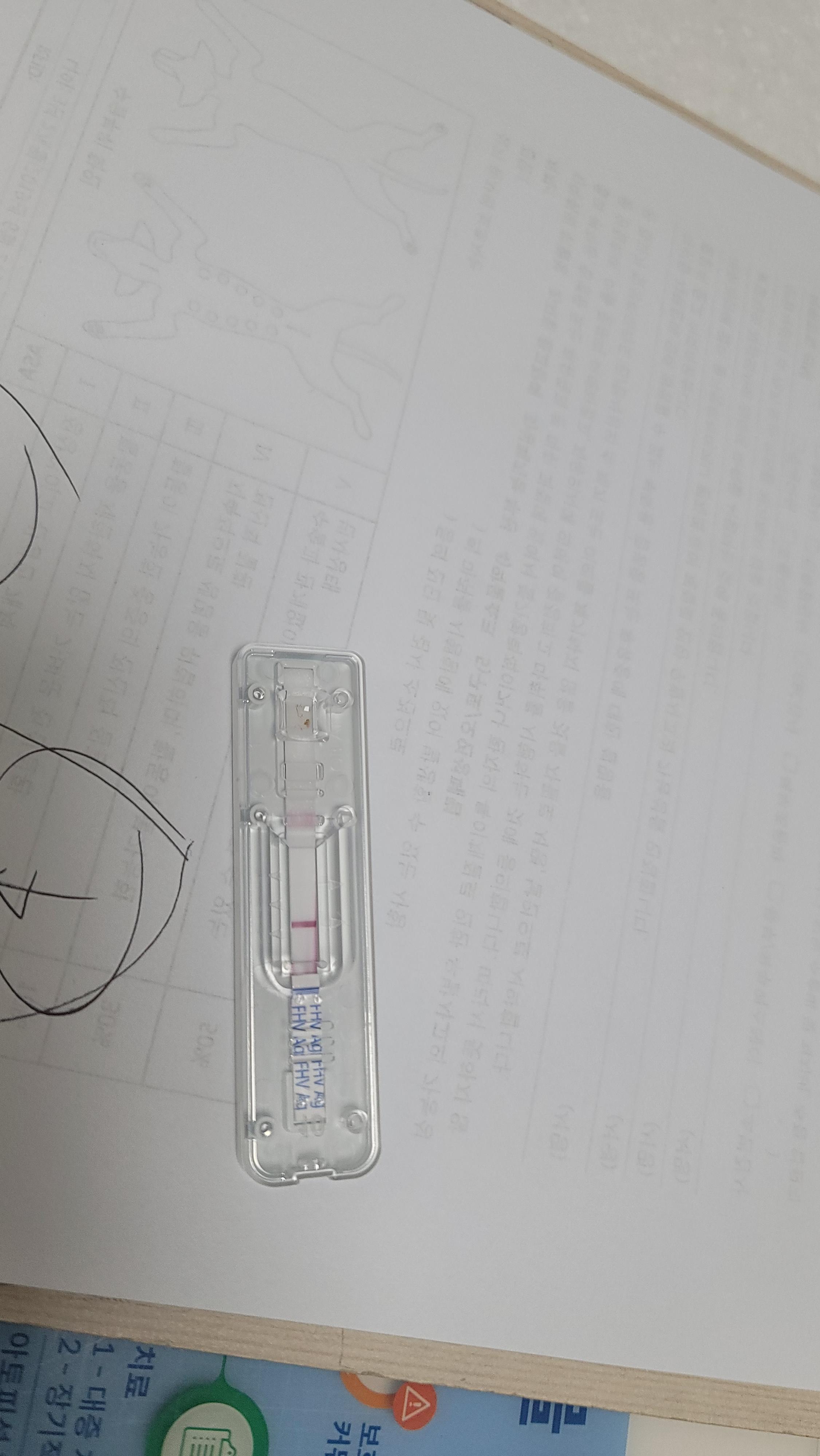 20250404_093123.jpg