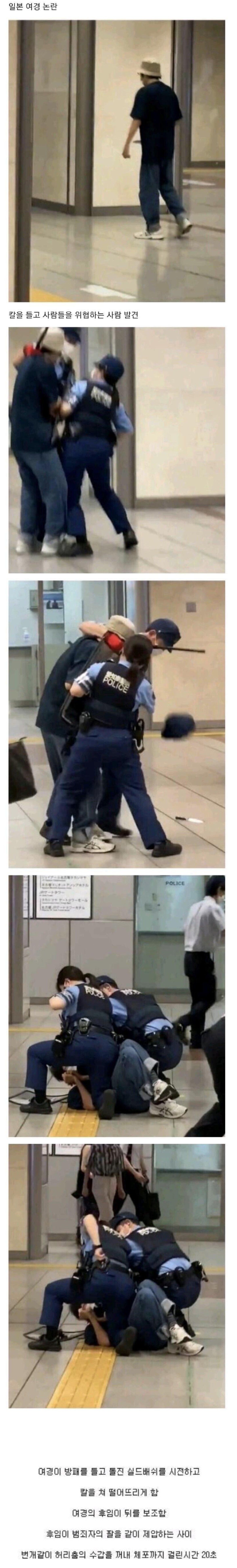 333.jpeg