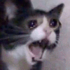 144-626514088-0-2-emoticon-626534030