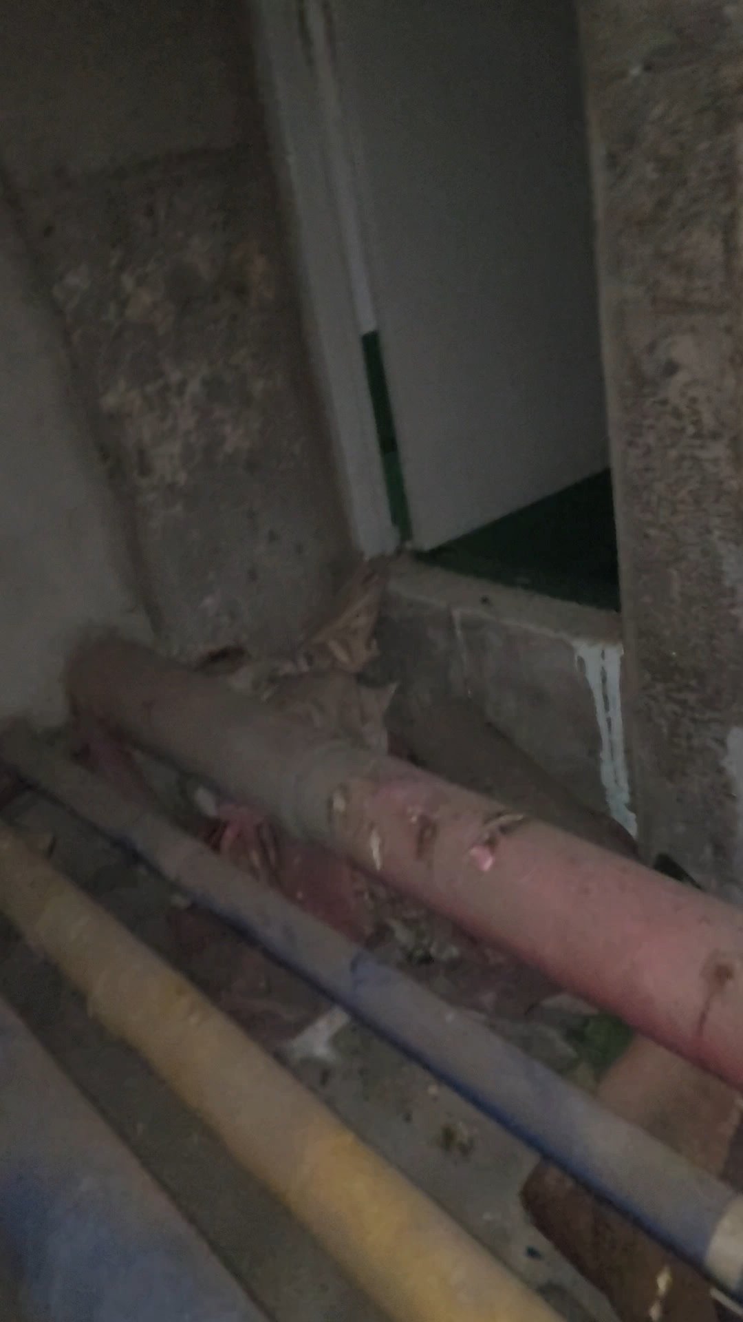 VideoCapture_20250514-212303.jpg